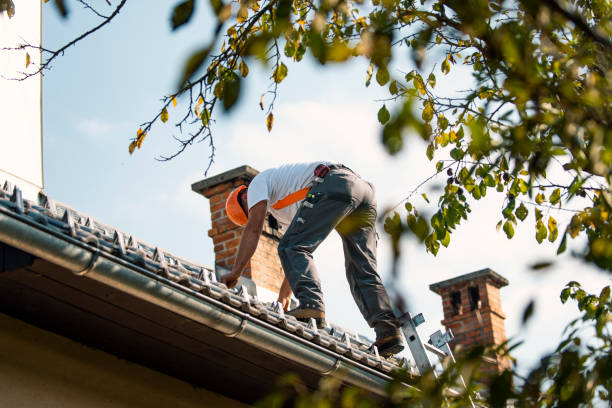 Best Shingle Roofing Installation  in Washburn, IL