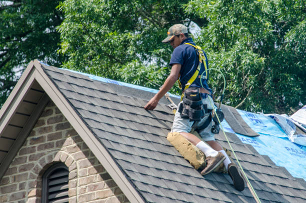 Best Roof Maintenance Services  in Washburn, IL