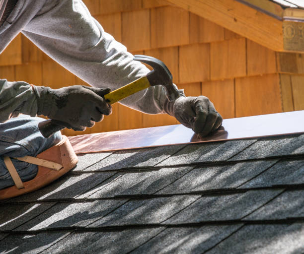 Best Roof Gutter Cleaning  in Washburn, IL